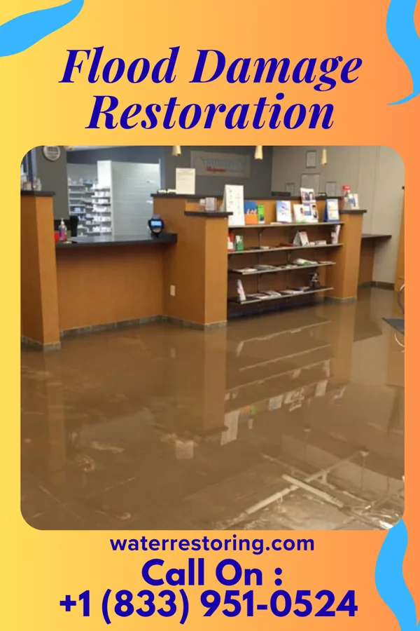 Flood Damage Restoration in Cheltenham Village, PA