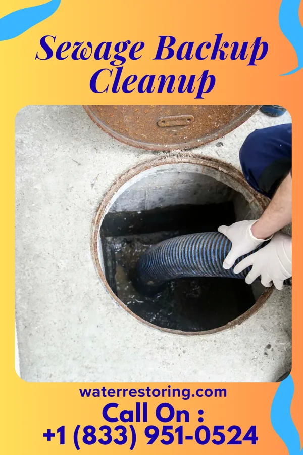 Sewage Backup Cleanup in Cheltenham Village, PA